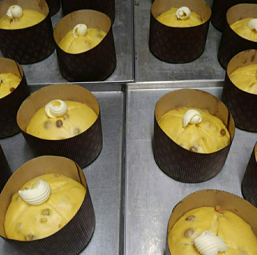 panettoni artigianali motelupo empoli